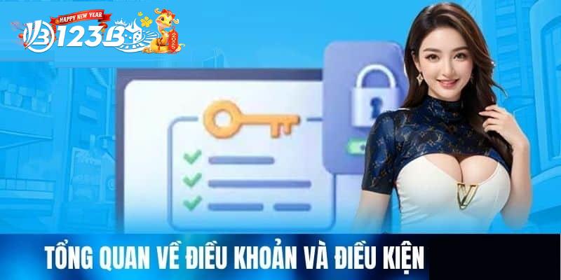 Nhà cái và người chơi đều có trách nhiệm thực hiện Điều khoản và Điều kiện 123B